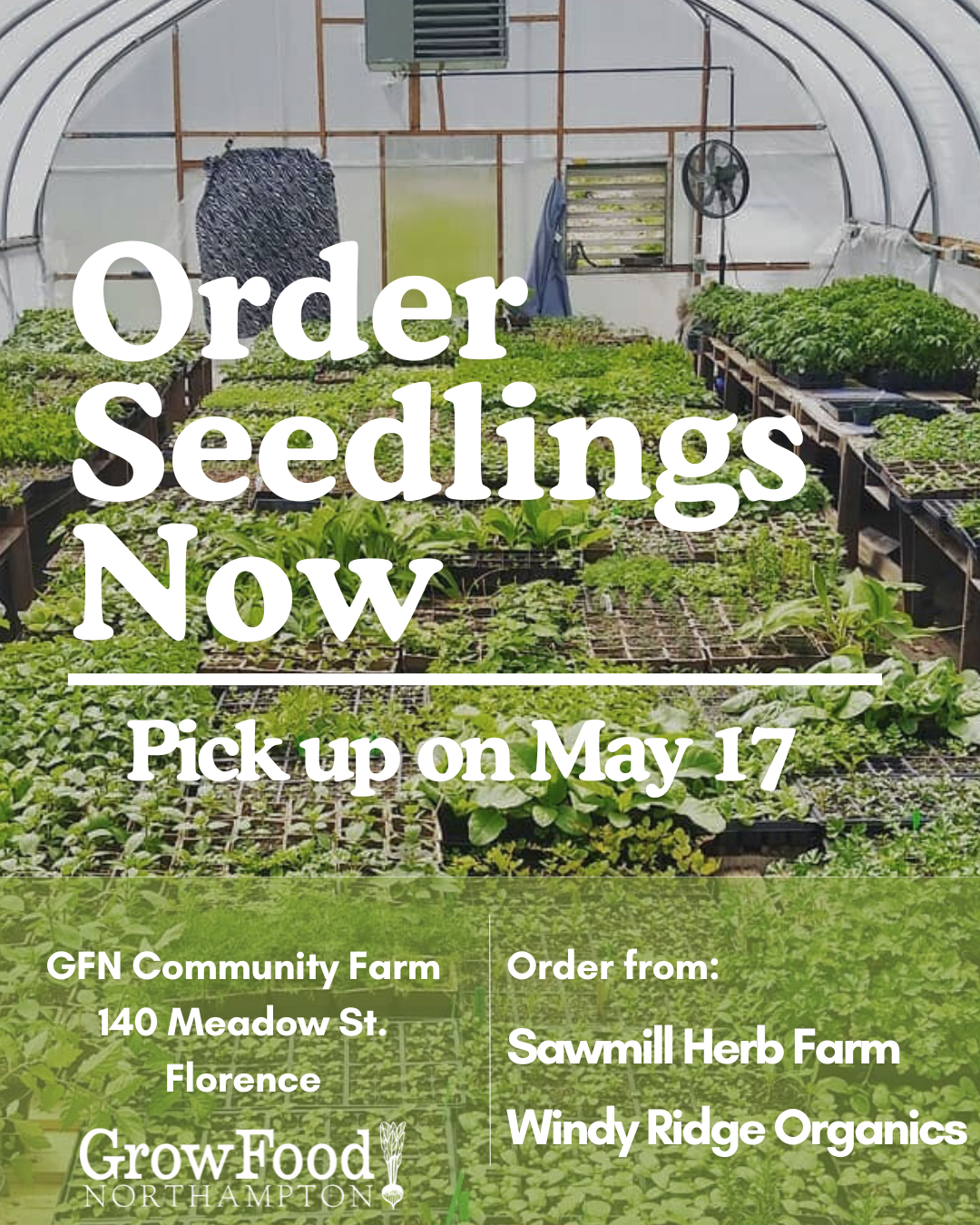 Seedling Pre-order for May 17 Pickup
